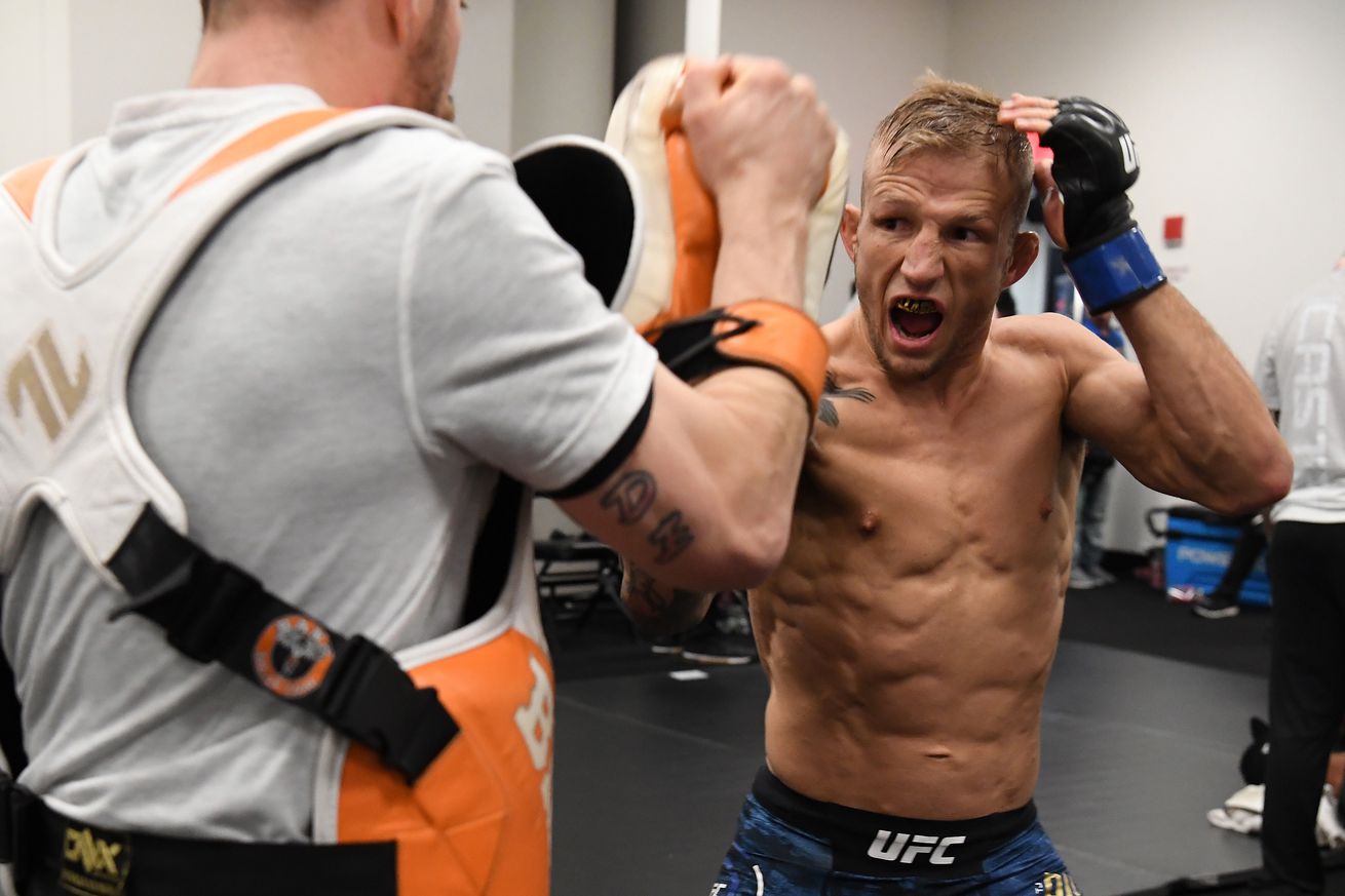 UFC Fight Night: Cejudo v Dillashaw