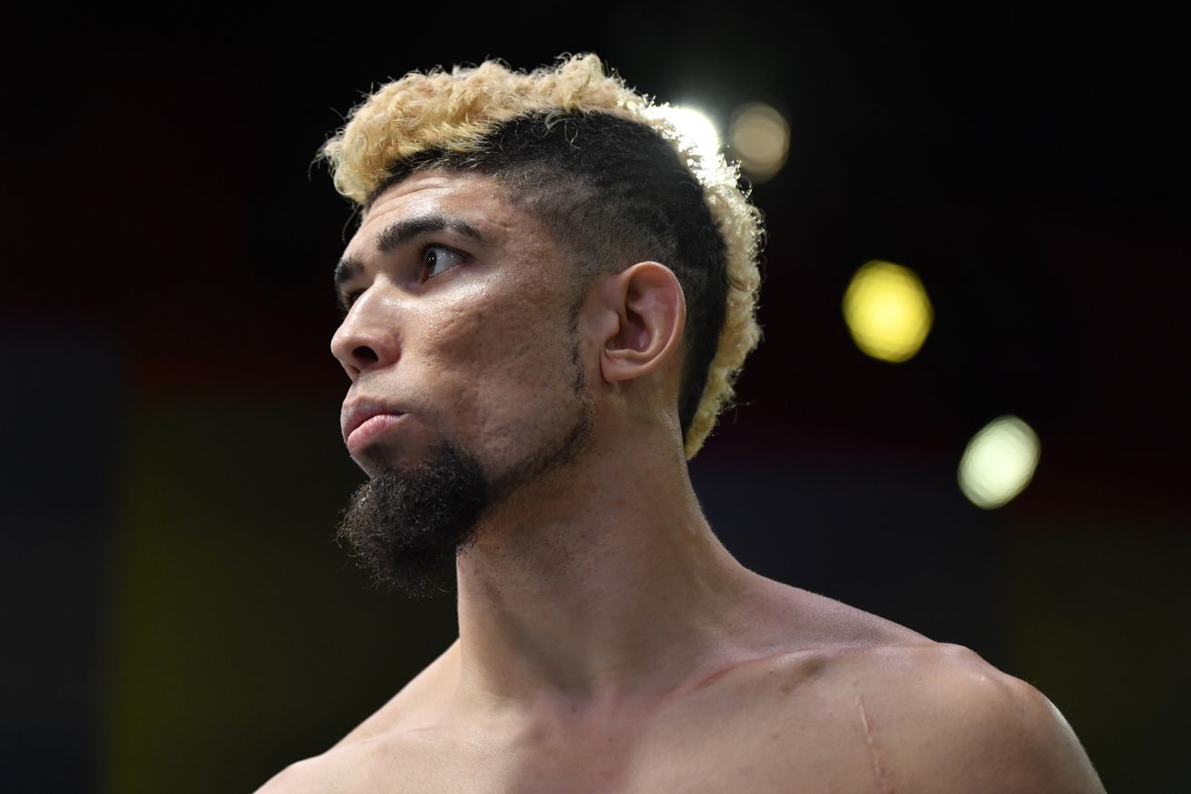 UFC Fight Night: Santos v Walker