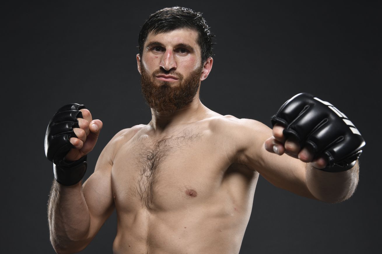 UFC 267: Blachowicz v Teixeira