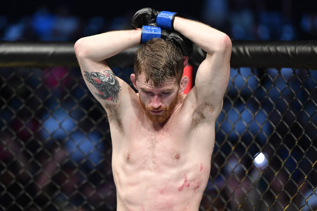 UFC 267: Yan v Sandhagen