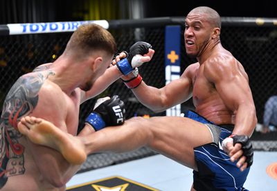 UFC Fight Night: Gane vs. Volkov