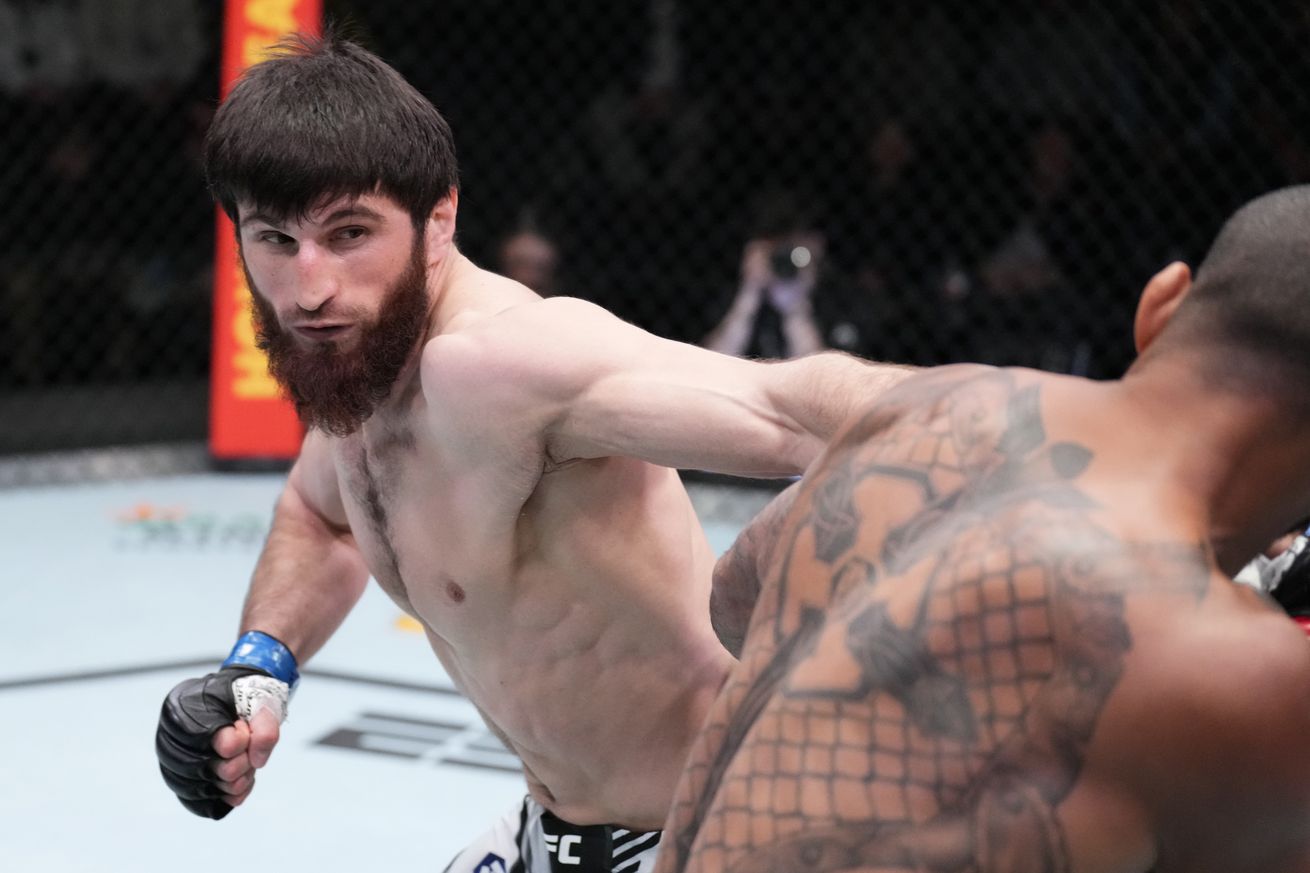 UFC Fight Night: Santos v Ankalaev