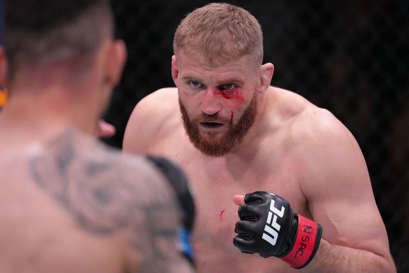 UFC Fight Night: Blachowicz v Rakic