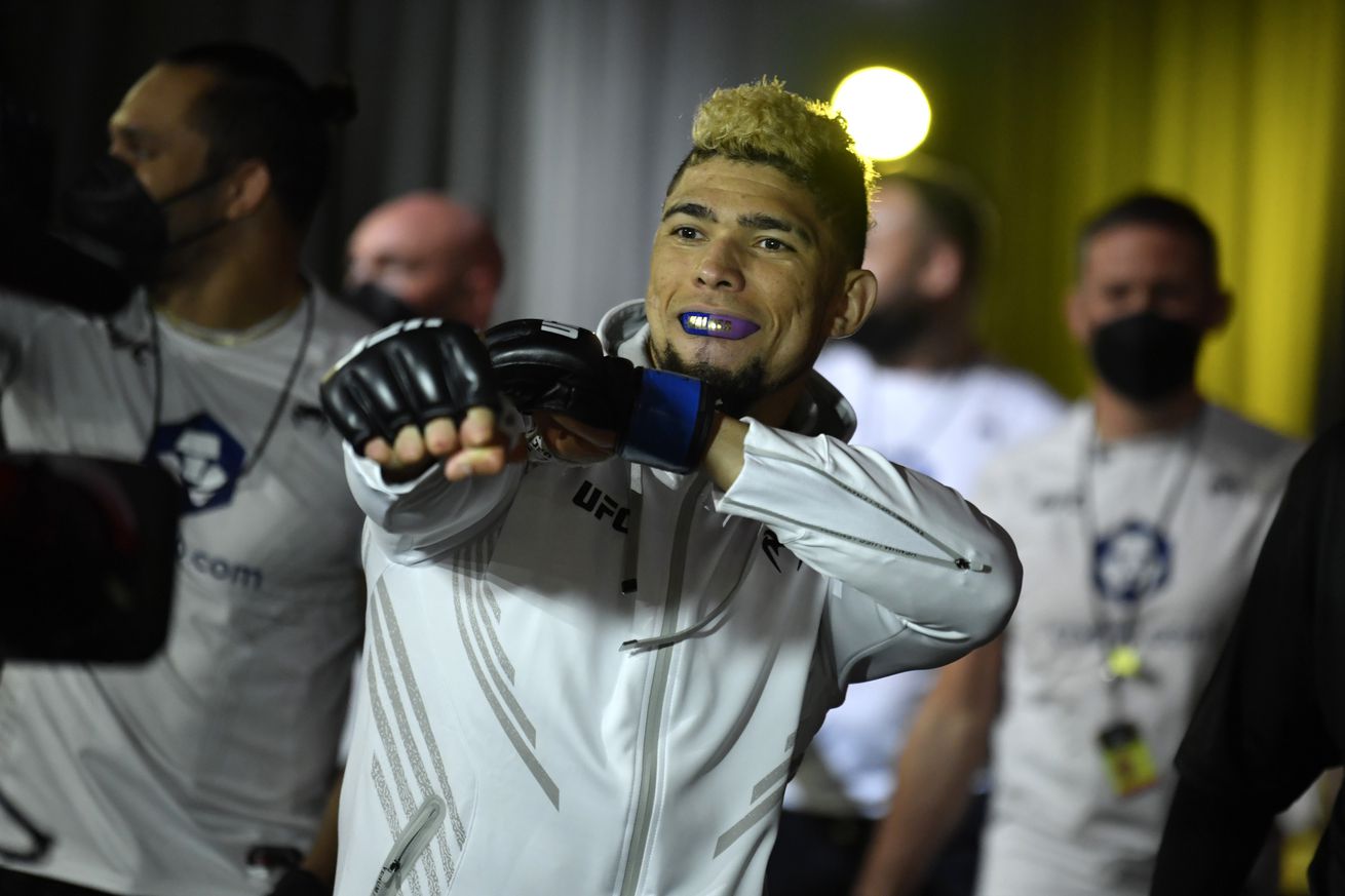 UFC Fight Night: Santos v Walker