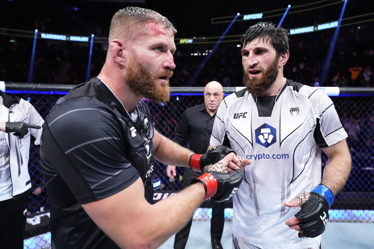 UFC 282: Blachowicz v Ankalaev