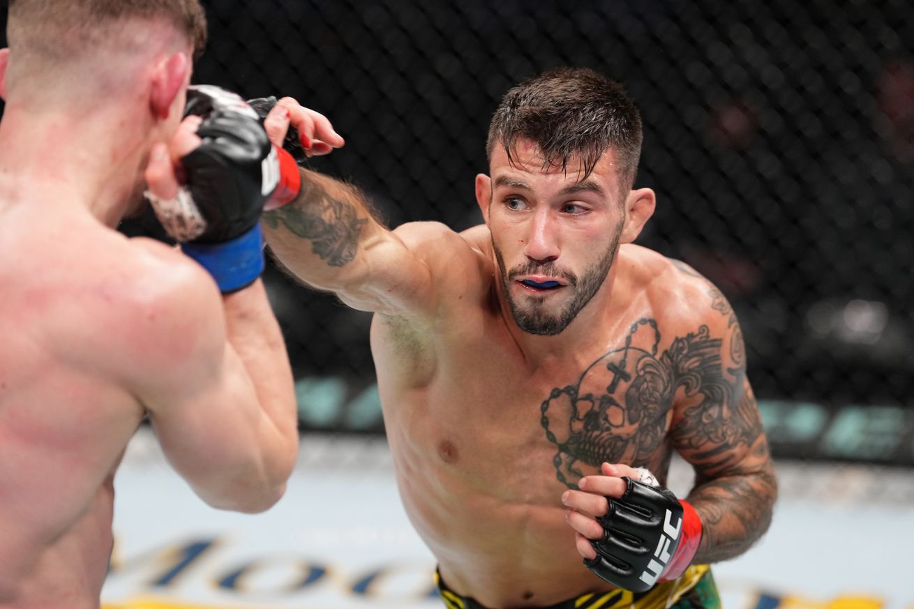 UFC Fight Night: Nicolau v Dvorak