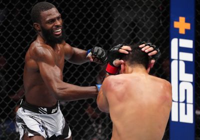 UFC 281: Arce v Jackson