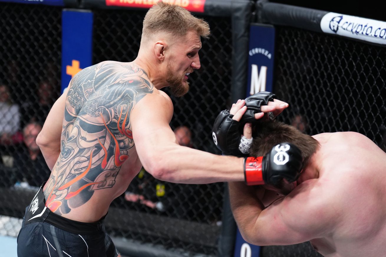 UFC Fight Night: Volkov v Romanov