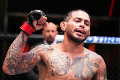 UFC Fight Night: Ferreira v Johnson