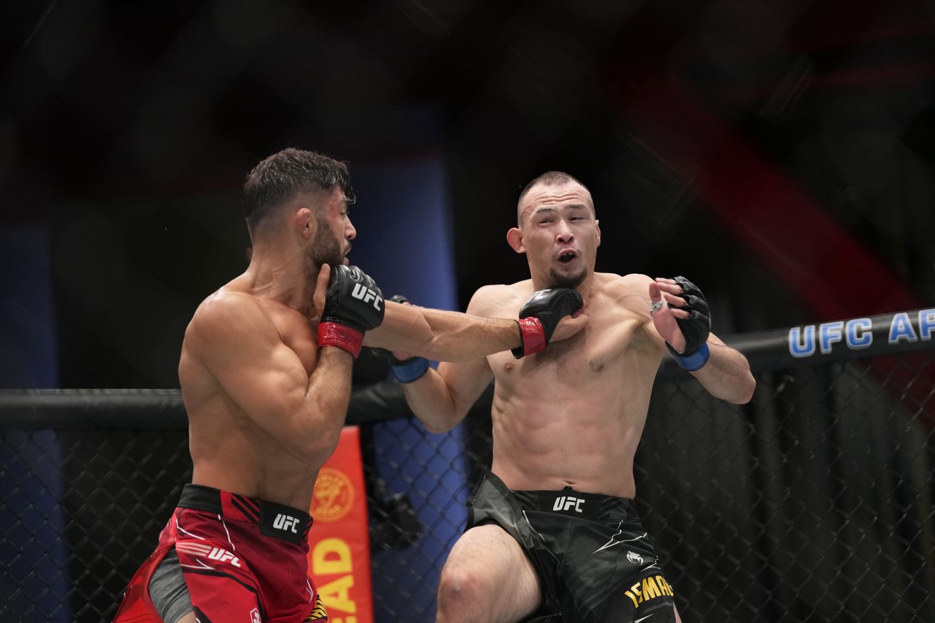 MMA: DEC 17 UFC Vegas 66