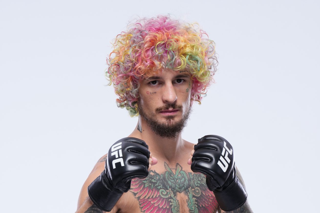 UFC Fighter Portraits