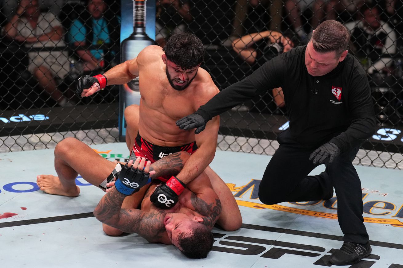 UFC Fight Night: Tsarukyan v Silva