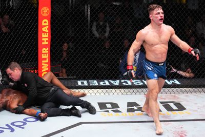 UFC Fight Night: Dober v Green