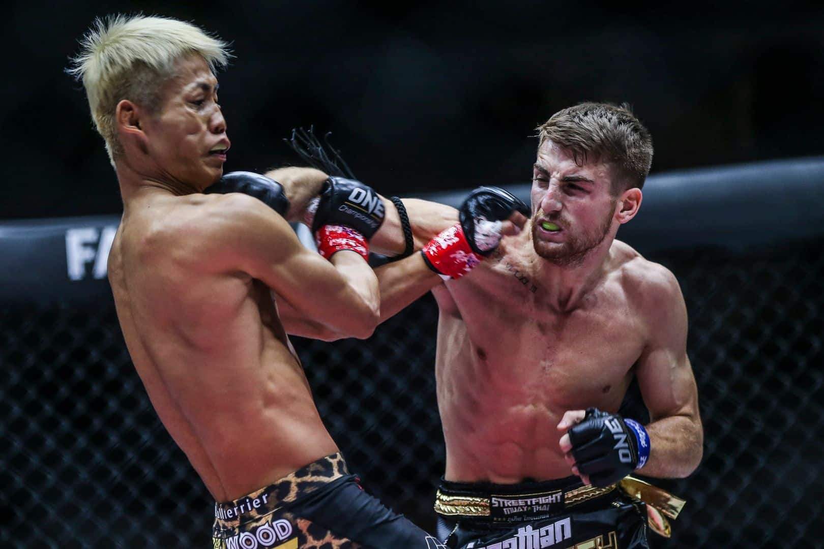ONE Fight Night 16: Preview & Live Stream Info