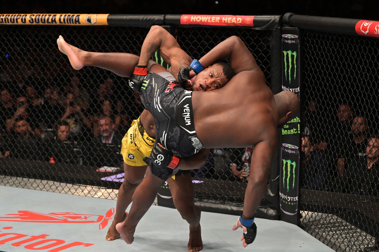 UFC Fight Night: Almeida v Lewis