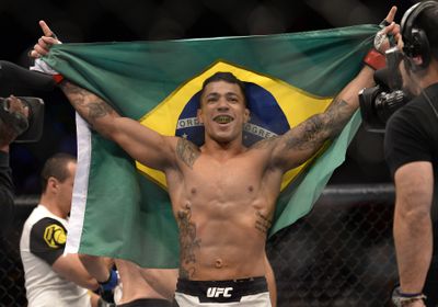 The Ultimate Fighter Finale: Silva v Holbrook