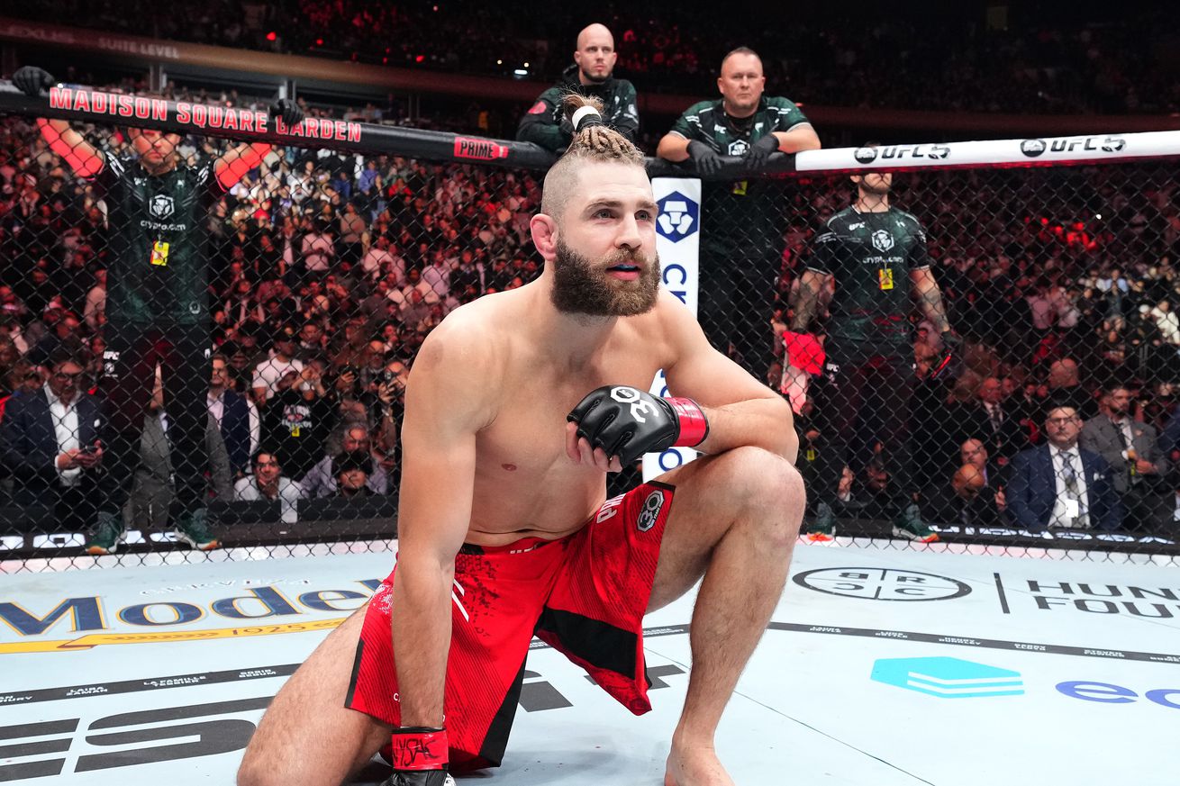 UFC 295: Prochazka v Pereira