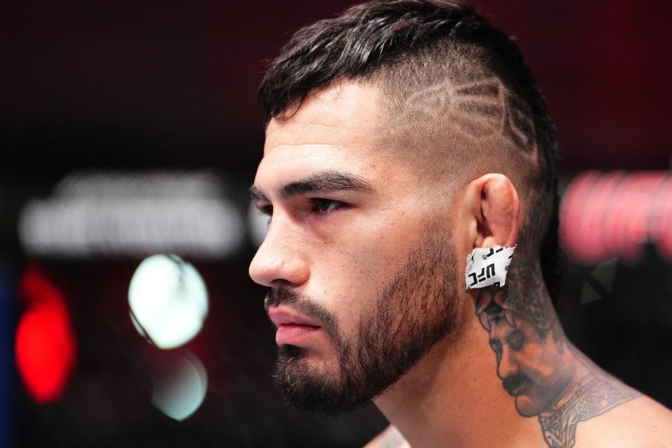 UFC Fight Night: Hernandez v Pereira