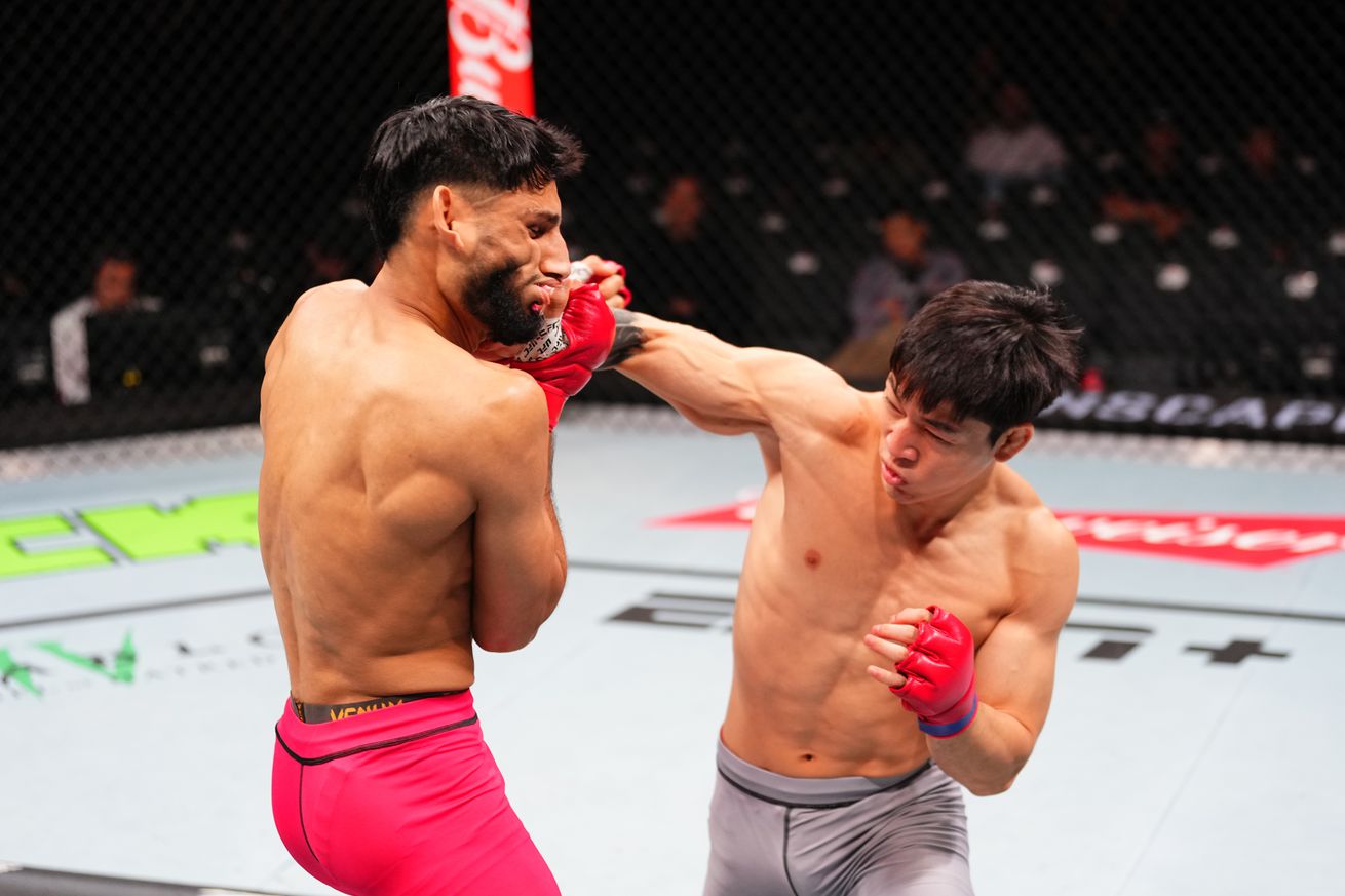 UFC Fight Night: Sahota v Choi