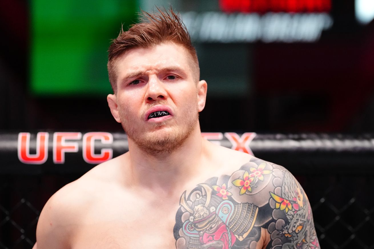 UFC Fight Night: Vettori v Dolidze 2