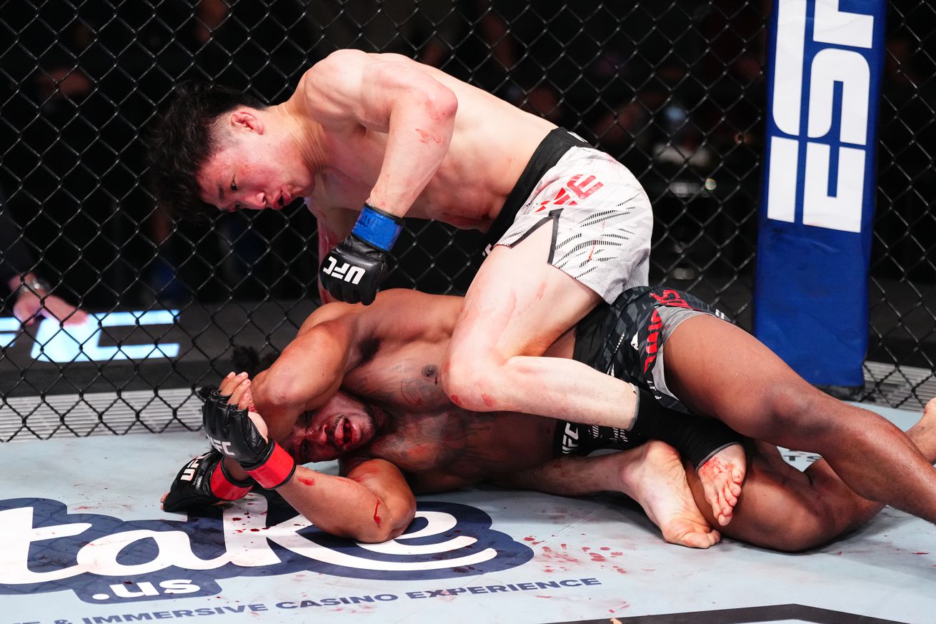 UFC Fight Night: Romious v Lee